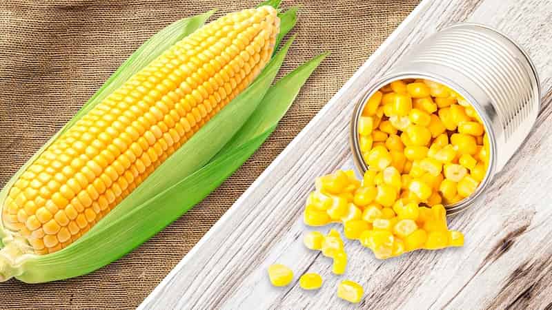 کنسرو ذرت حلقه ای با ظاهر متفاوت برای پذیرایی